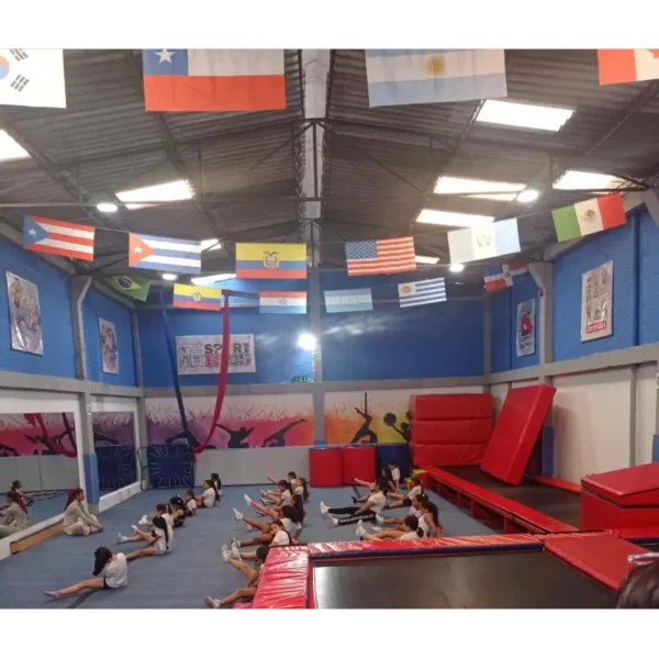 Gimnasia - Image 3