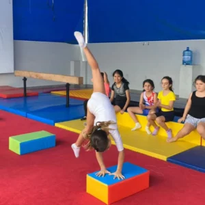Gimnasia
