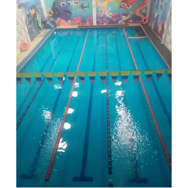 Natación - Image 2