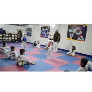 Taekwondo