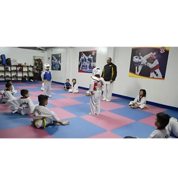 Taekwondo - Image 2
