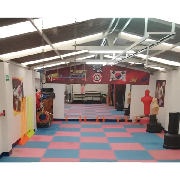 Taekwondo - Image 3