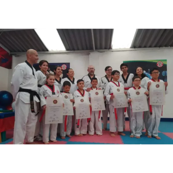 Taekwondo - Image 4