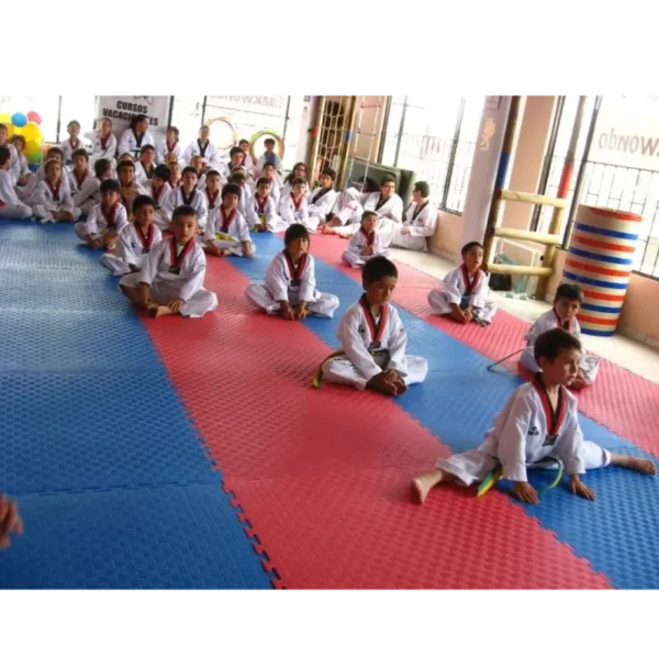 Taekwondo - Image 5